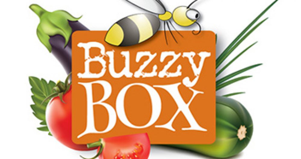 Buzzy Box