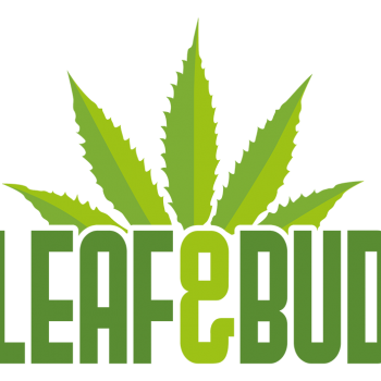 Leaf & Bud